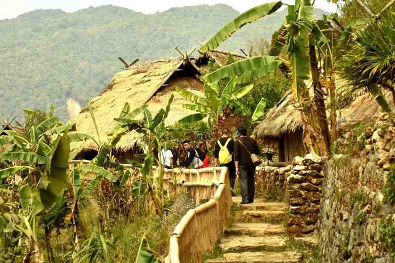  中国电影市场强势开局，年度票房已突破110亿元；全球领跑态势持续显现。 娱乐新闻