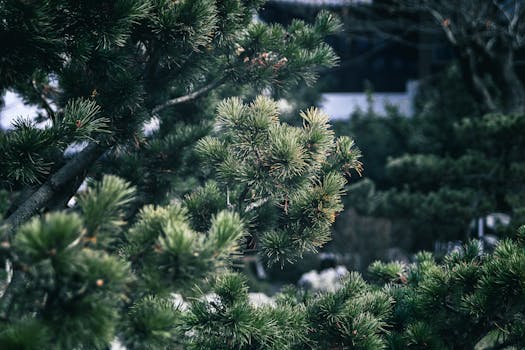 沃森生物迎来控制权新篇章,黄涛接棒掌舵;世纪金源二代资本布局再扩,疫苗领域注入活力。 股票财经