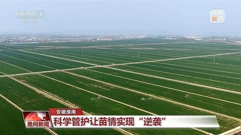  科技助力春耕，春意唤醒田野；希望在希望的田野上绽放。 文化旅游 科技助力春耕，春意唤醒田野；希望在希望的田野上绽放。 文化旅游