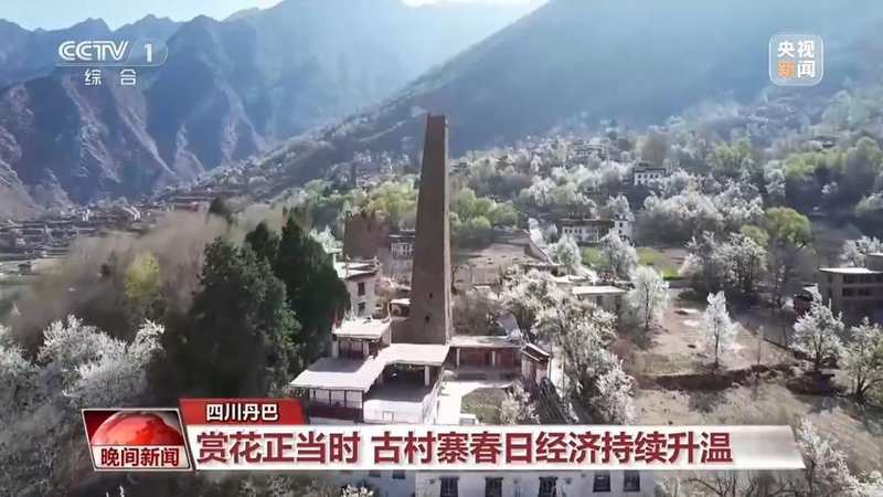  科技助力春耕，春意唤醒田野；希望在希望的田野上绽放。 文化旅游 科技助力春耕，春意唤醒田野；希望在希望的田野上绽放。 文化旅游