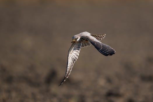  全球市场动荡加剧，权益配置需转向防御；低估值板块显现吸引力，高确定性资产值得重视。 股票财经 全球市场动荡加剧，权益配置需转向防御；低估值板块显现吸引力，高确定性资产值得重视。 股票财经 全球市场动荡加剧，权益配置需转向防御；低估值板块显现吸引力，高确定性资产值得重视。 股票财经