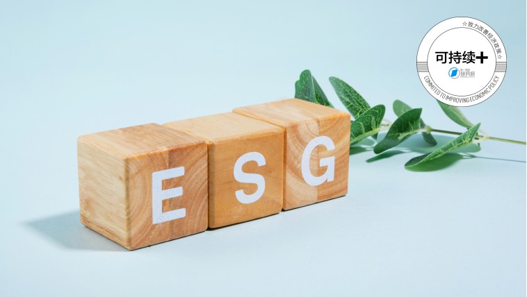 深耕生命健康:齐鲁制药产业版图背后的治理逻辑 新闻