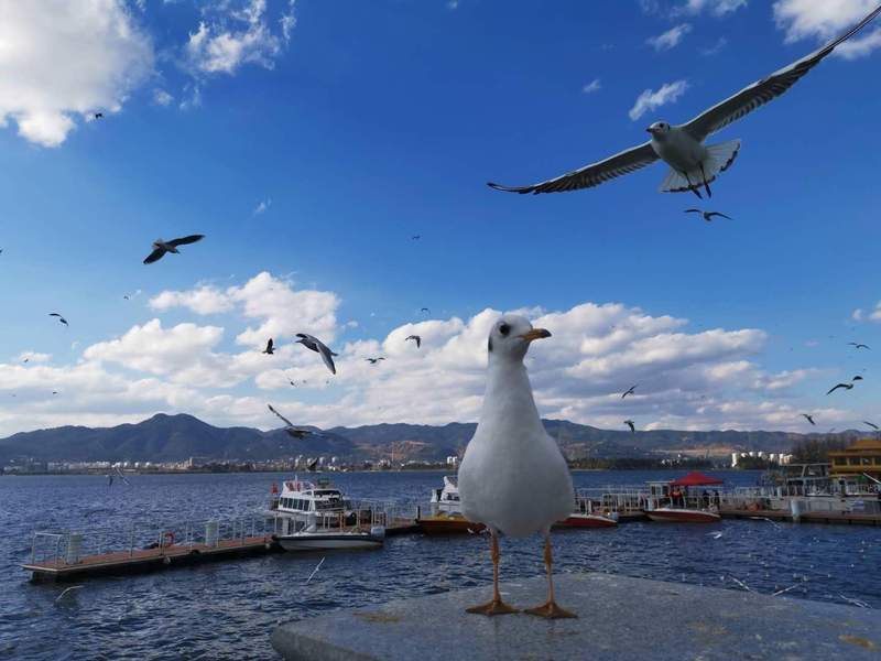  师范教育的迷局：盲目转型真能救赎“夕阳”专业吗？ 教育招生