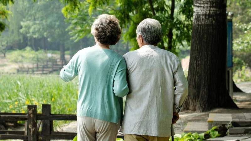  师范教育的迷局：盲目转型真能救赎“夕阳”专业吗？ 教育招生