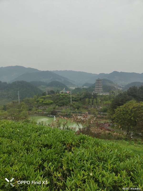 内心焦虑感如何消除?清明时节的五种自我疗愈方案 情感心理