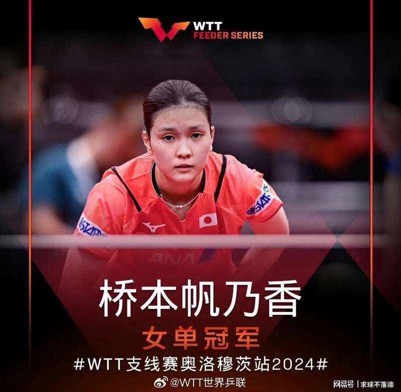  技术解码：世界杯削球手战术体系与国乒应对策略深度剖析 体育新闻