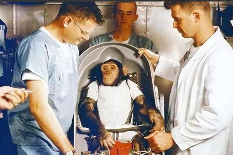  【科学史深度】从基因壁垒到伦理红线：伊万诺夫人猿杂交实验的系统性失败解剖 新闻 【科学史深度】从基因壁垒到伦理红线：伊万诺夫人猿杂交实验的系统性失败解剖 新闻