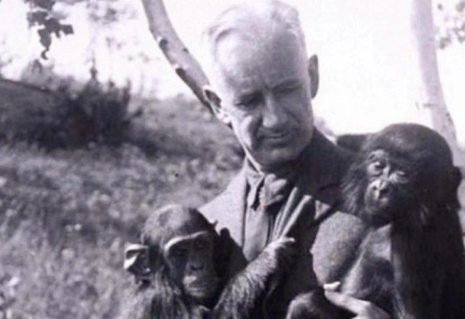  【科学史深度】从基因壁垒到伦理红线：伊万诺夫人猿杂交实验的系统性失败解剖 新闻 【科学史深度】从基因壁垒到伦理红线：伊万诺夫人猿杂交实验的系统性失败解剖 新闻