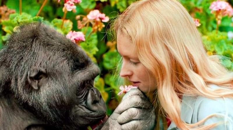  【科学史深度】从基因壁垒到伦理红线：伊万诺夫人猿杂交实验的系统性失败解剖 新闻 【科学史深度】从基因壁垒到伦理红线：伊万诺夫人猿杂交实验的系统性失败解剖 新闻