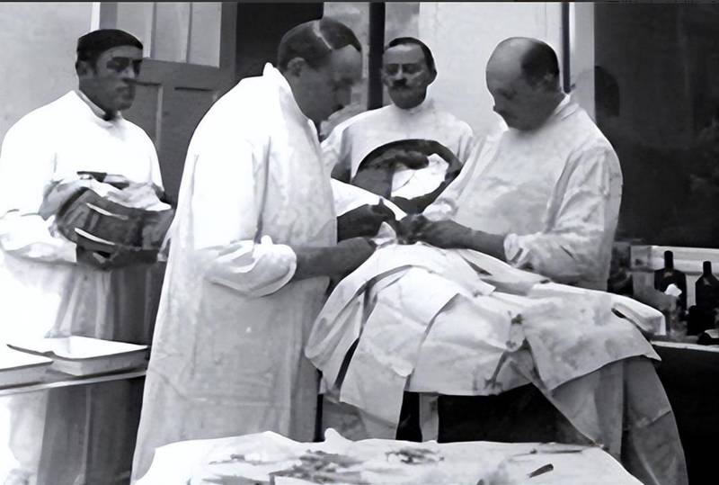  【科学史深度】从基因壁垒到伦理红线：伊万诺夫人猿杂交实验的系统性失败解剖 新闻 【科学史深度】从基因壁垒到伦理红线：伊万诺夫人猿杂交实验的系统性失败解剖 新闻