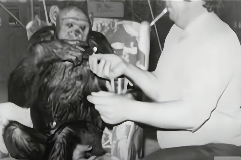  【科学史深度】从基因壁垒到伦理红线：伊万诺夫人猿杂交实验的系统性失败解剖 新闻 【科学史深度】从基因壁垒到伦理红线：伊万诺夫人猿杂交实验的系统性失败解剖 新闻