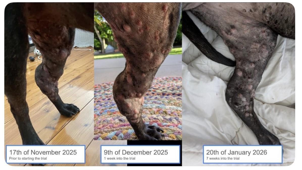  孩子打完那针疫苗，我终于睡了个踏实觉 情感心理