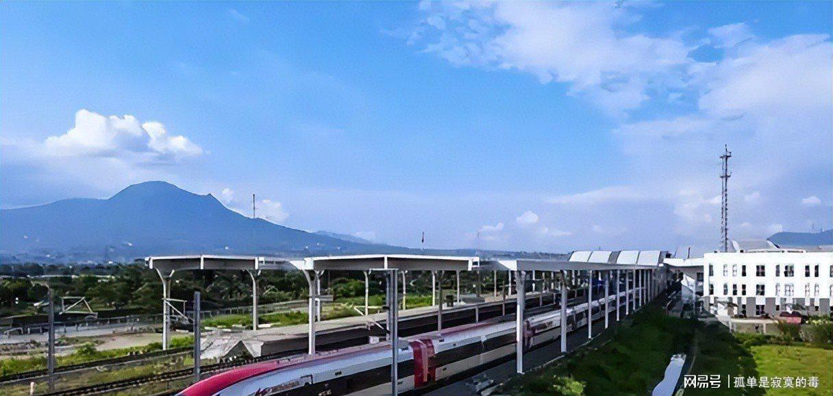  技术视角解码苏林访华：两乘高铁背后的基建外交逻辑 新闻