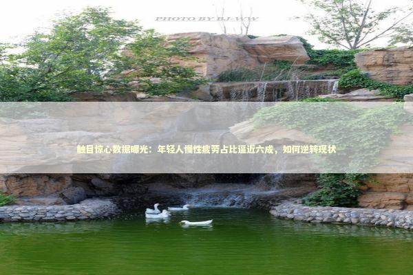 触目惊心数据曝光:年轻人慢性疲劳占比逼近六成,如何逆转现状 触目惊心数据曝光:年轻人慢性疲劳占比逼近六成,如何逆转现状 健康养生