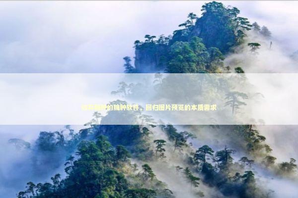 放弃臃肿的臃肿软件,回归图片预览的本质需求 放弃臃肿的臃肿软件,回归图片预览的本质需求 IT技术