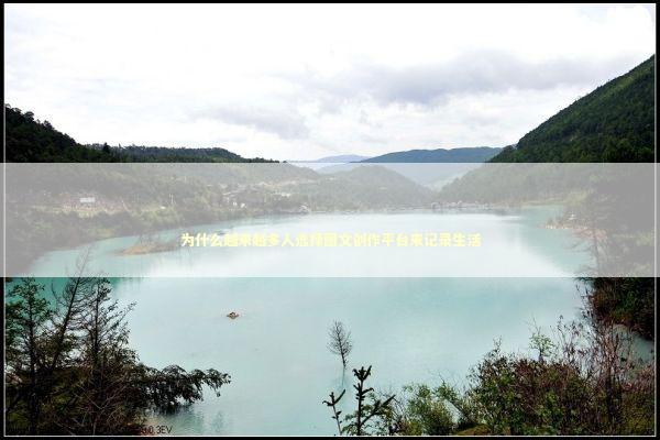 为什么越来越多人选择图文创作平台来记录生活 IT技术