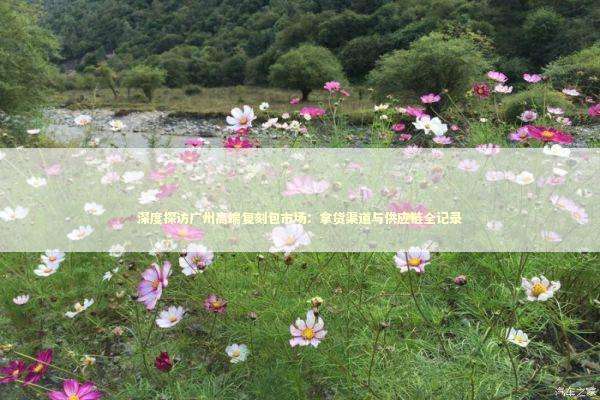 深度探访广州高端复刻包市场：拿货渠道与供应链全记录 时尚用品