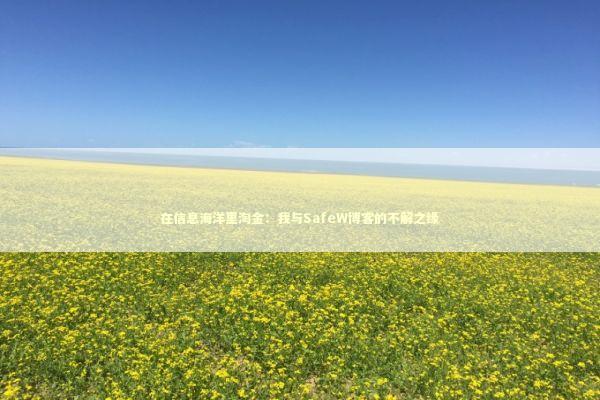 在信息海洋里淘金：我与SafeW博客的不解之缘 IT技术