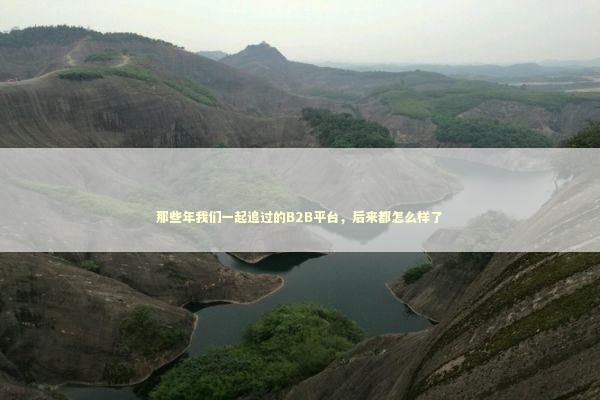 那些年我们一起追过的B2B平台，后来都怎么样了 企业服务