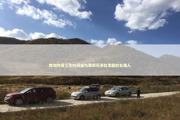 她如何用三年时间成为茉莉花茶批发圈的女强人 新闻